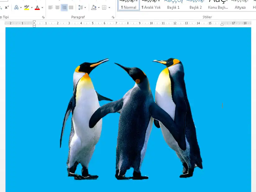 Word Resim Arkaplan Kaldırma